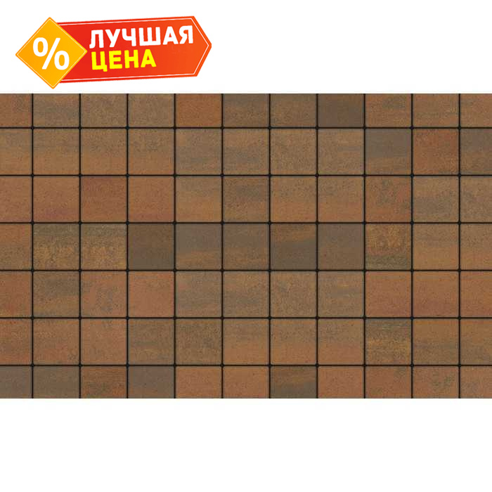Плитка тротуарная Квадрат (ЛА-Линия) Б.3.К.6 Листопад гладкий Арабская ночь 100x100x60 мм